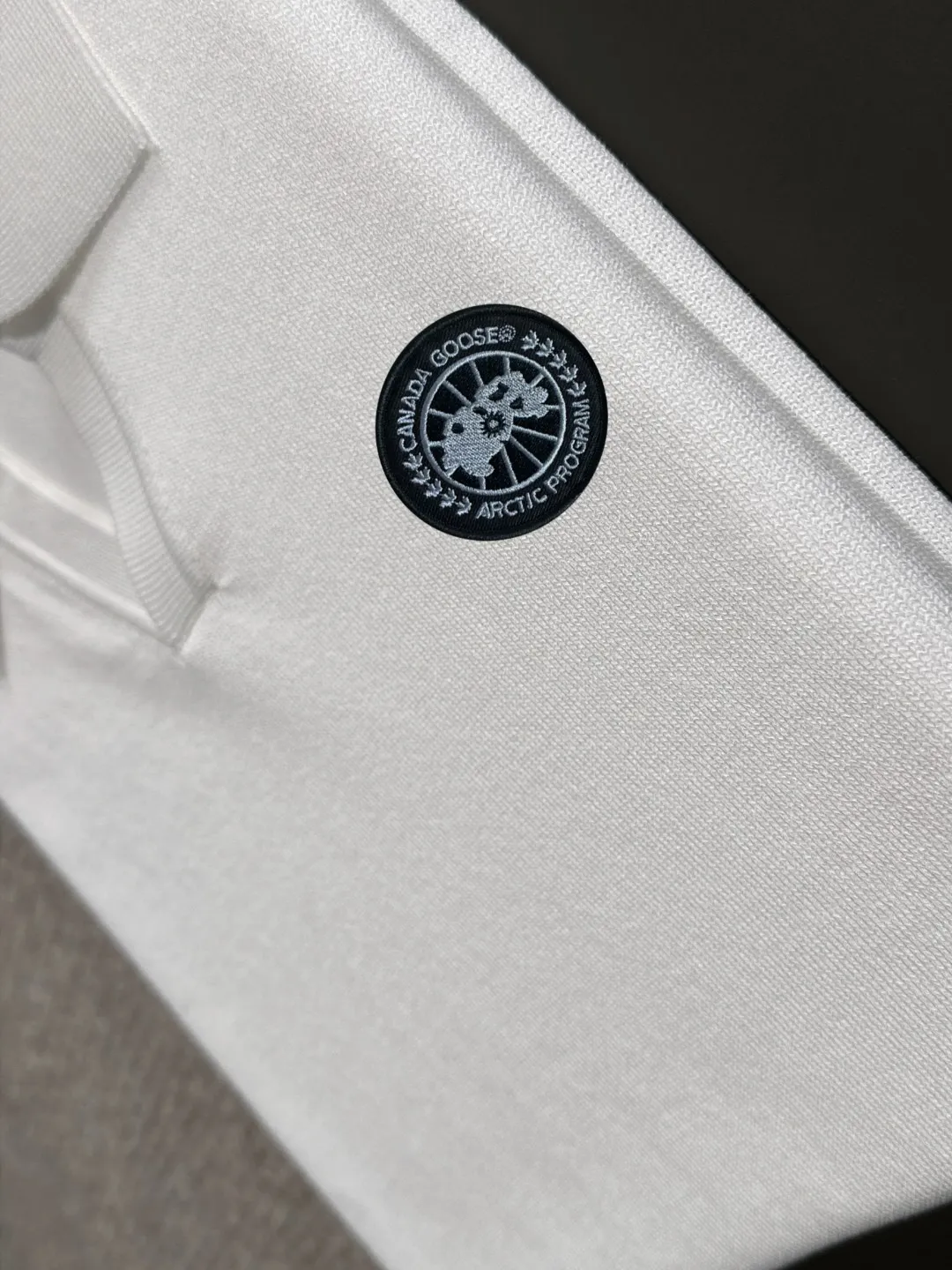 Next day shipping P300 High quality Big Goose 2025 spring and summer new men's lapel short-sleeved T-shirt Made of combed cotton yarn knitted cotton fabric, pure cotton high-weight special yarn, it feels full when weighed, and the upper body is more textured than ordinary T-shirts. This texture can cope with the weather easily and is suitable for both hot and cold! The pattern on the chest adopts three-dimensional embroidery technology, and is perfectly produced stitch by stitch with reference to the original version! Loose fit design, looks noble. Size: M to XXXL
